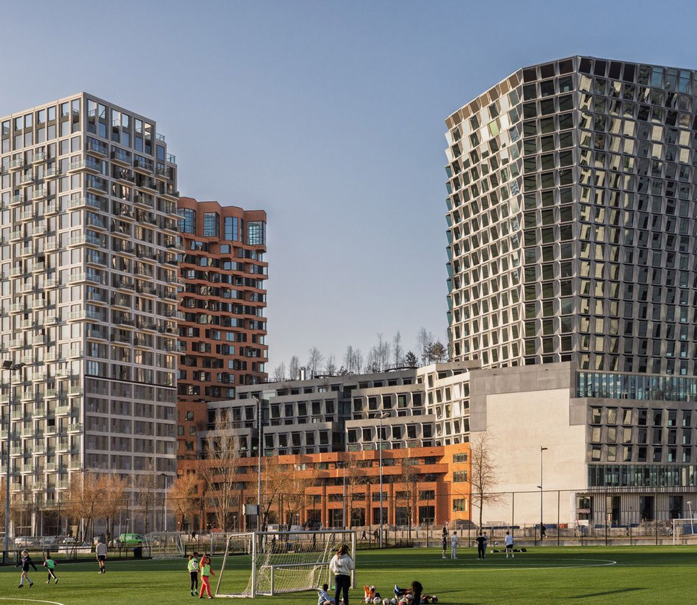 The Pulse